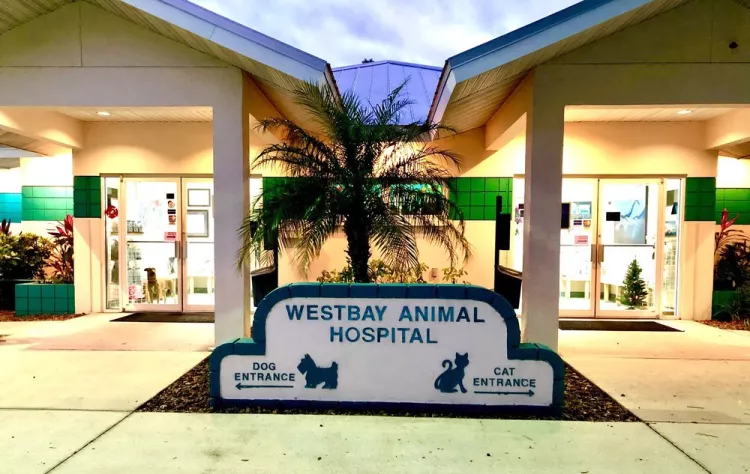 Westbay Animal Hospital, Florida, Bradenton